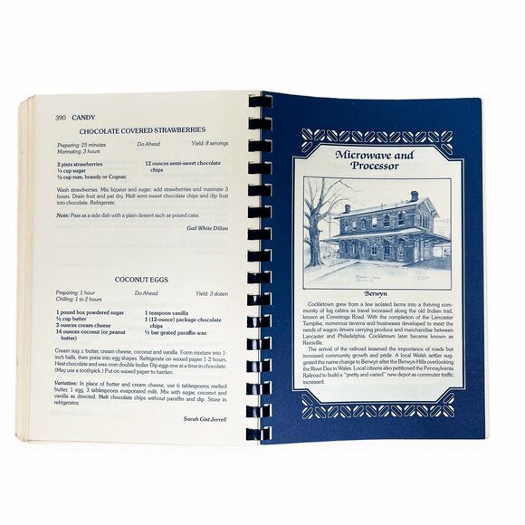 Main Line Classics A Cookbook From Historic Philadelphia Suburbs Recipes 1982 - Picture 7 of 14